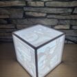 1000020780